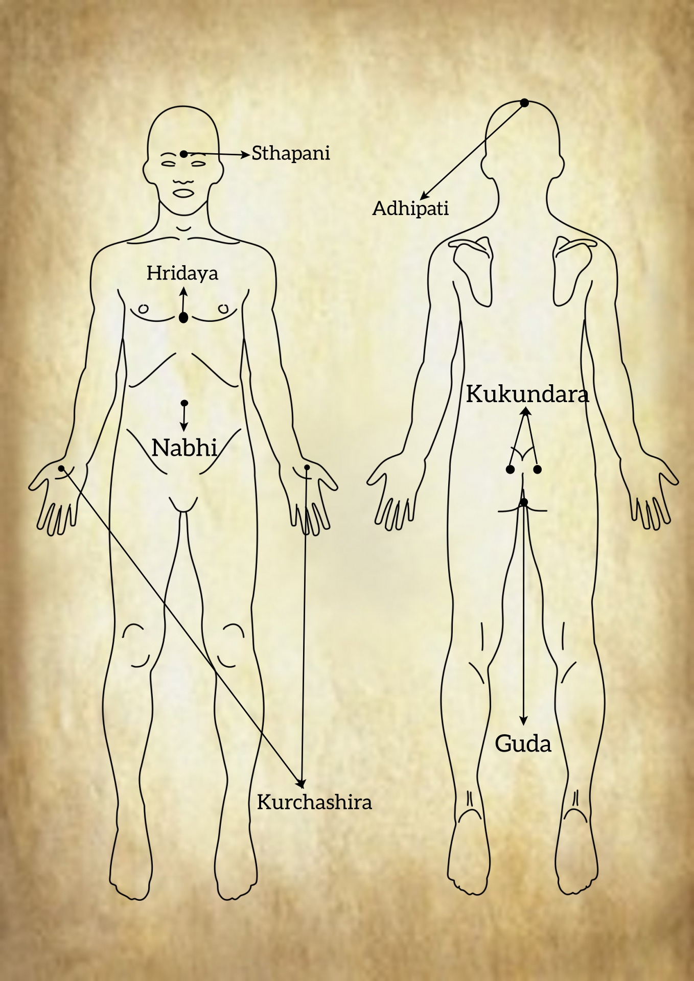 Points de marma pour l'insomnie