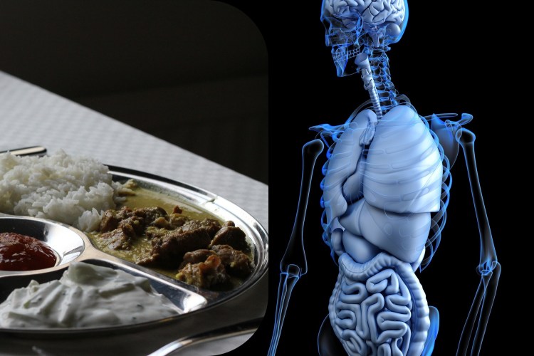 Dhatu - impact de nourriture sur notre corps