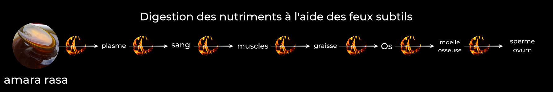 Créations des tissues d'après ayurvéda