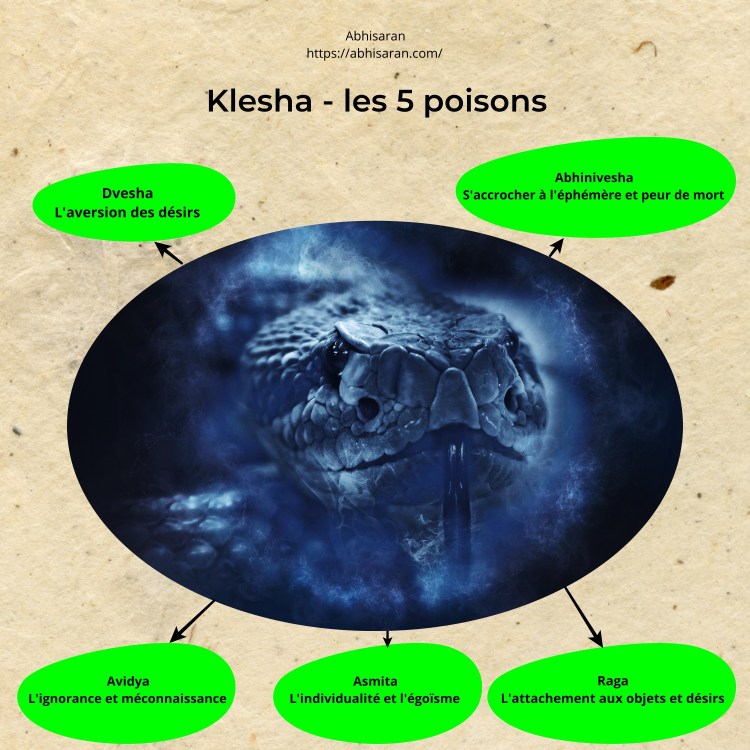 Klesha - Les 5 poisons d'esprit