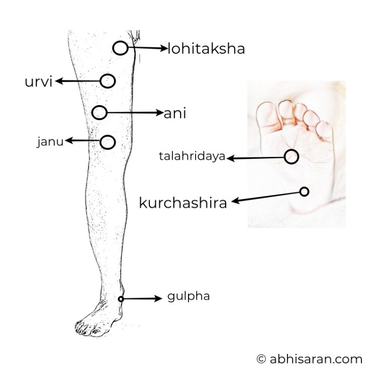 Les marmani à masser en cas de jambes lourdes