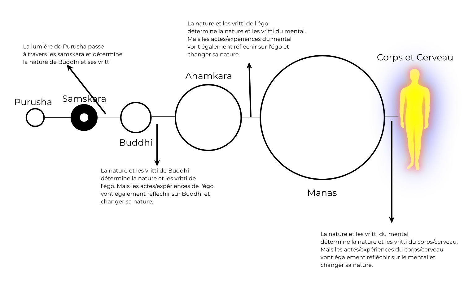 L'évolution de l'être et les vritti