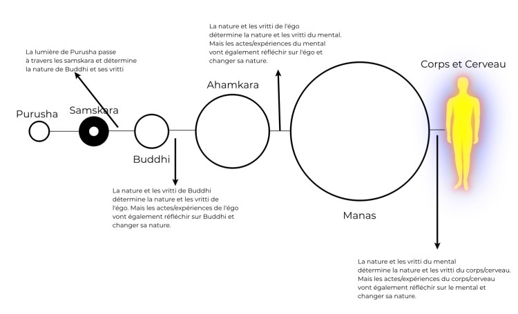 L'évolution de l'être et les vritti