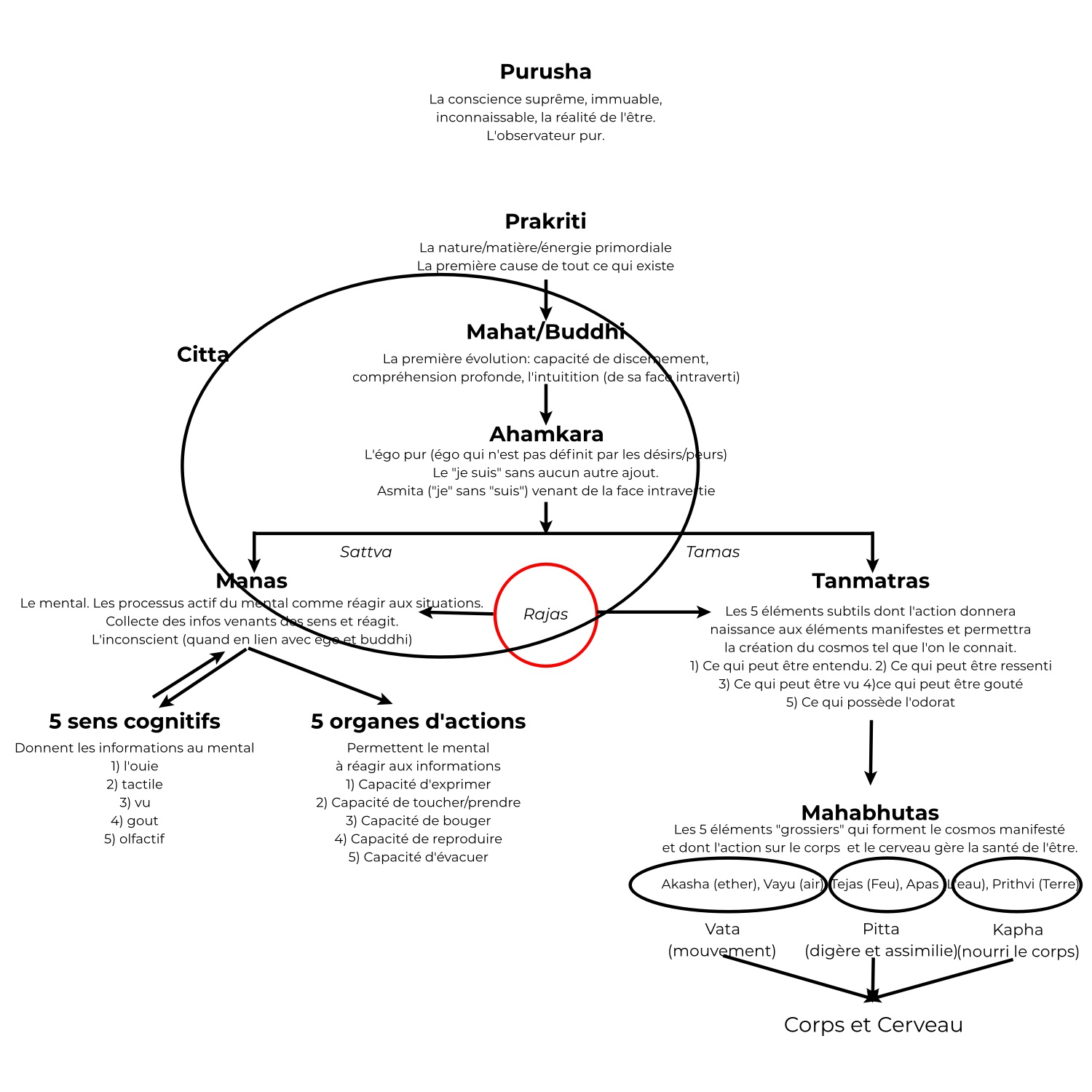 L'évolution des tattvas d'après Samkhya