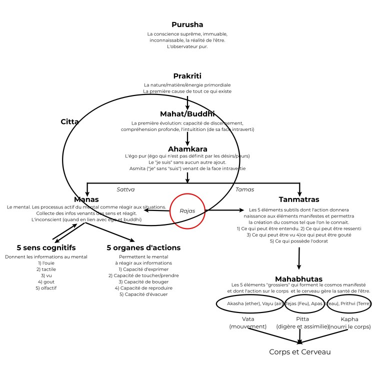 L'évolution des tattvas d'après Samkhya