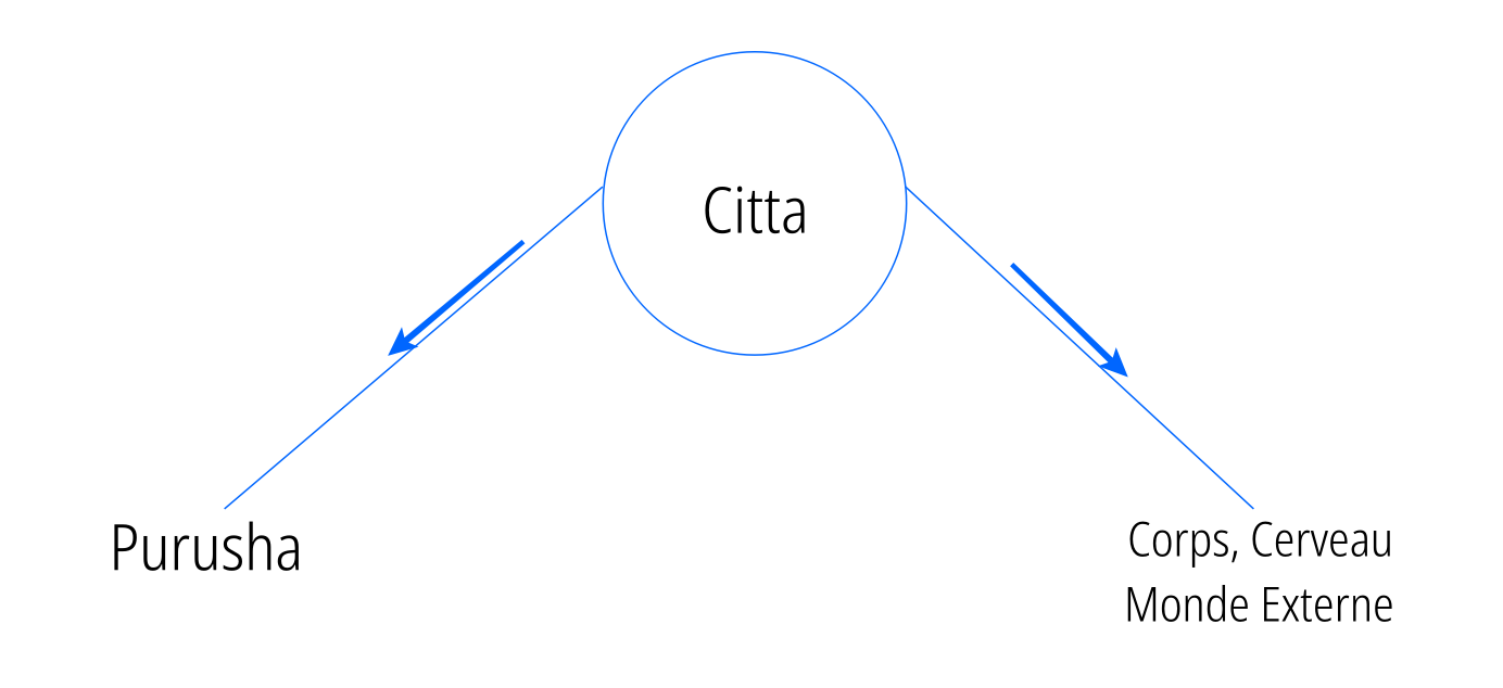 citta coule dans les deux sens